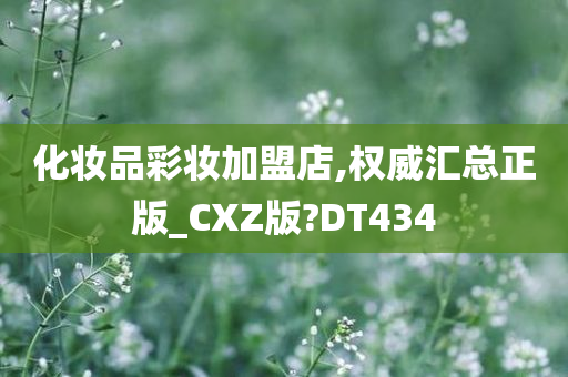 化妆品彩妆加盟店,权威汇总正版_CXZ版?DT434