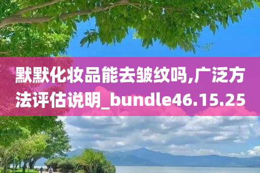 默默化妆品能去皱纹吗,广泛方法评估说明_bundle46.15.25