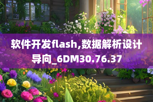 软件开发flash,数据解析设计导向_6DM30.76.37