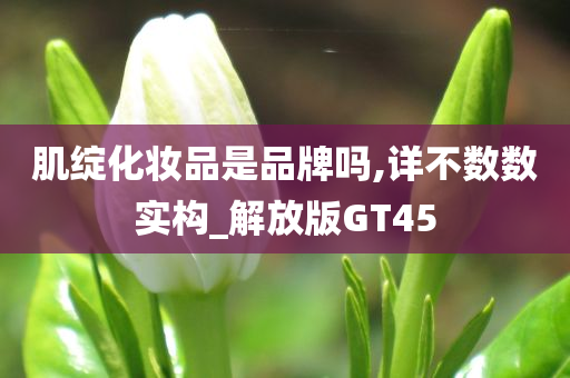 肌绽化妆品是品牌吗,详不数数实构_解放版GT45