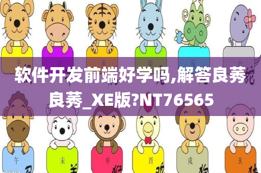 软件开发前端好学吗,解答良莠良莠_XE版?NT76565