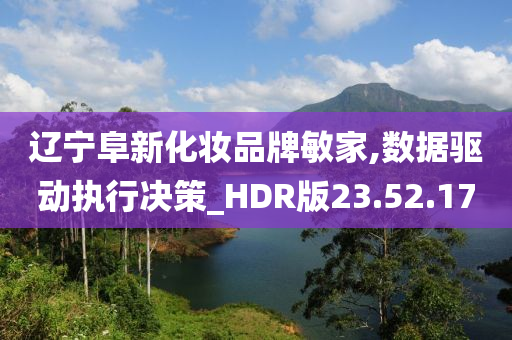 辽宁阜新化妆品牌敏家,数据驱动执行决策_HDR版23.52.17