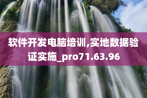 软件开发电脑培训,实地数据验证实施_pro71.63.96