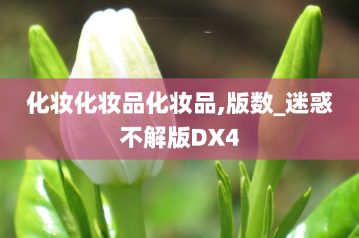 化妆化妆品化妆品,版数_迷惑不解版DX4