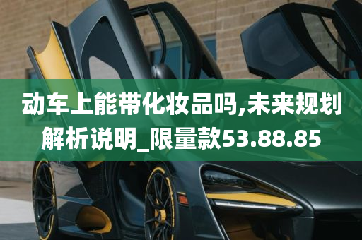 动车上能带化妆品吗,未来规划解析说明_限量款53.88.85