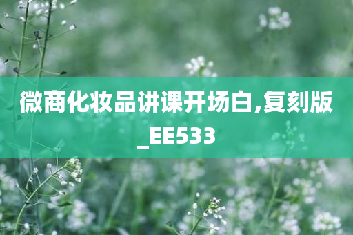 微商化妆品讲课开场白,复刻版_EE533