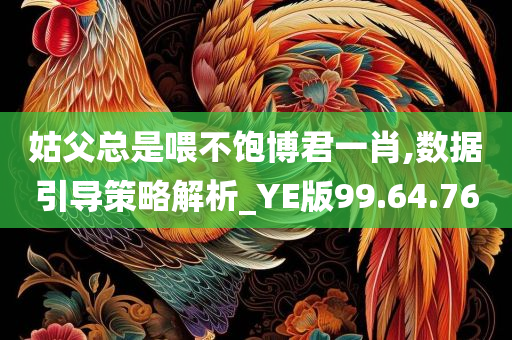 姑父总是喂不饱博君一肖,数据引导策略解析_YE版99.64.76