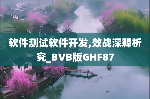 软件测试软件开发,效战深释析究_BVB版GHF87