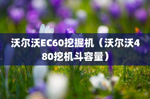 沃尔沃EC60挖掘机（沃尔沃480挖机斗容量）