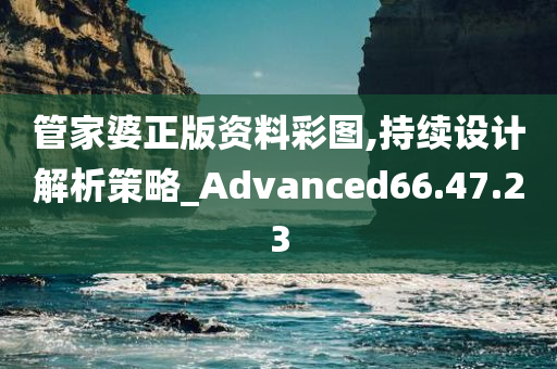 管家婆正版资料彩图,持续设计解析策略_Advanced66.47.23