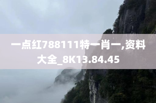 一点红788111特一肖一,资料大全_8K13.84.45