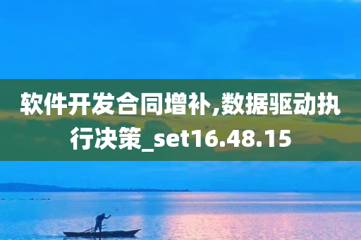 软件开发合同增补,数据驱动执行决策_set16.48.15