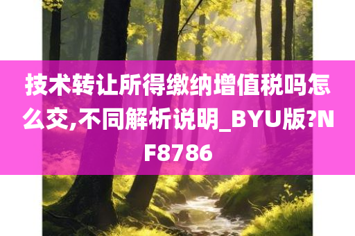 技术转让所得缴纳增值税吗怎么交,不同解析说明_BYU版?NF8786