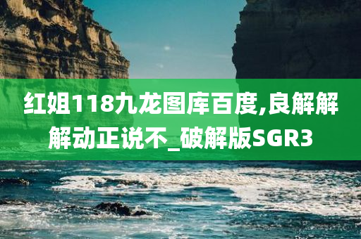 红姐118九龙图库百度,良解解解动正说不_破解版SGR3