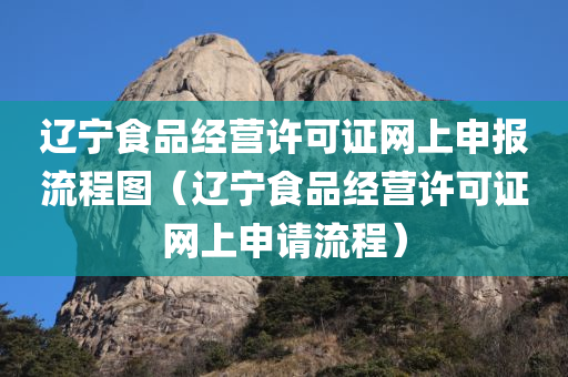 辽宁食品经营许可证网上申报流程图（辽宁食品经营许可证网上申请流程）