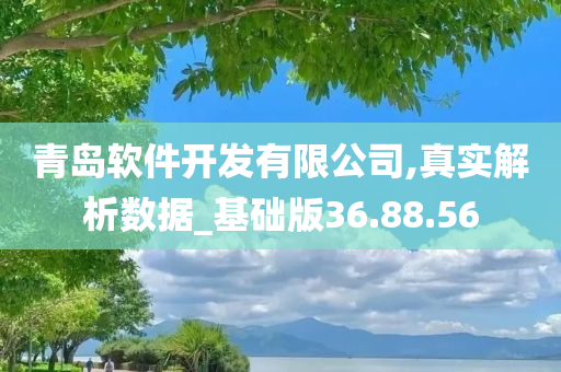 青岛软件开发有限公司,真实解析数据_基础版36.88.56