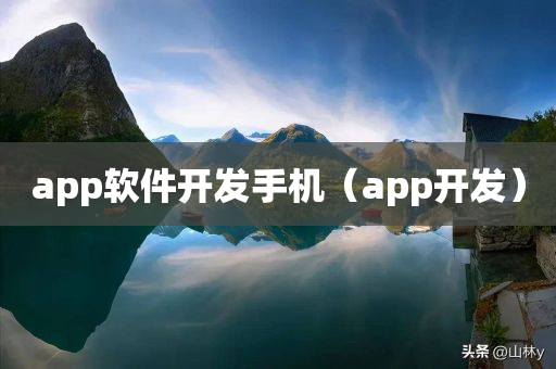 app软件开发手机（app开发）