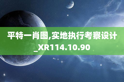 平特一肖图,实地执行考察设计_XR114.10.90