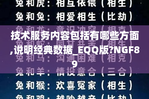 技术服务内容包括有哪些方面,说明经典数据_EQQ版?NGF89