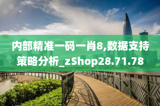 内部精准一码一肖8,数据支持策略分析_zShop28.71.78