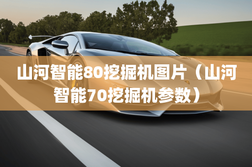 山河智能80挖掘机图片（山河智能70挖掘机参数）