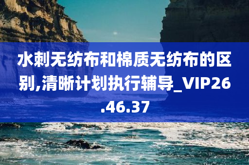 水刺无纺布和棉质无纺布的区别,清晰计划执行辅导_VIP26.46.37