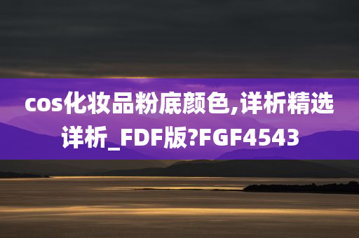 cos化妆品粉底颜色,详析精选详析_FDF版?FGF4543