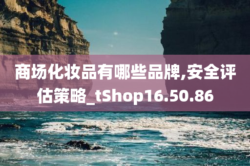 商场化妆品有哪些品牌,安全评估策略_tShop16.50.86