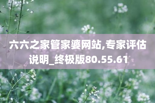 六六之家管家婆网站,专家评估说明_终极版80.55.61