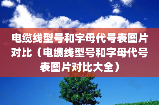 电缆线型号和字母代号表图片对比（电缆线型号和字母代号表图片对比大全）