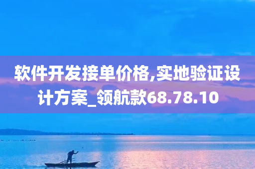 软件开发接单价格,实地验证设计方案_领航款68.78.10