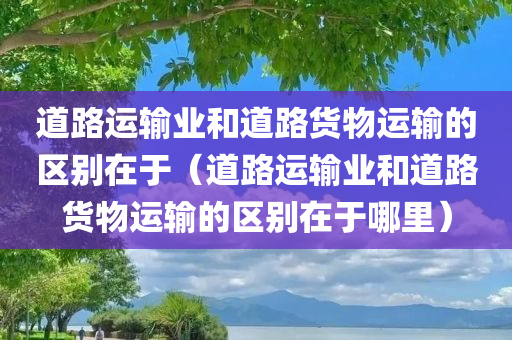 道路运输业和道路货物运输的区别在于（道路运输业和道路货物运输的区别在于哪里）