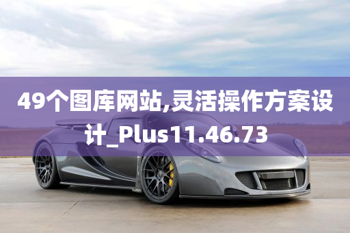 49个图库网站,灵活操作方案设计_Plus11.46.73