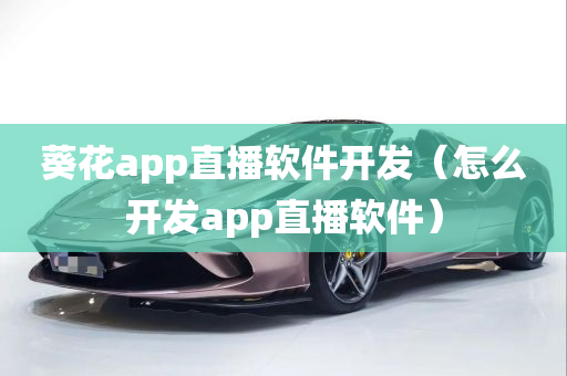 葵花app直播软件开发（怎么开发app直播软件）