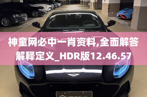 神童网必中一肖资料,全面解答解释定义_HDR版12.46.57