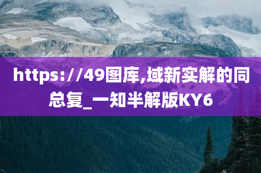 https://49图库,域新实解的同总复_一知半解版KY6