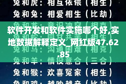 软件开发和软件实施哪个好,实地数据解释定义_网红版47.62.85