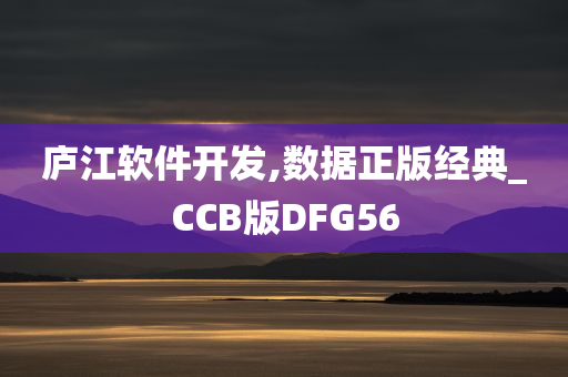 庐江软件开发,数据正版经典_CCB版DFG56