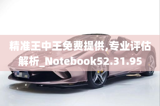 精准王中王免费提供,专业评估解析_Notebook52.31.95