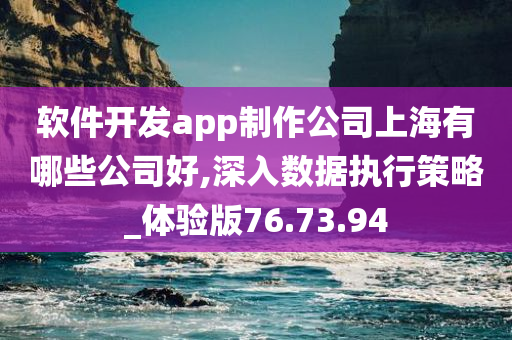 软件开发app制作公司上海有哪些公司好,深入数据执行策略_体验版76.73.94