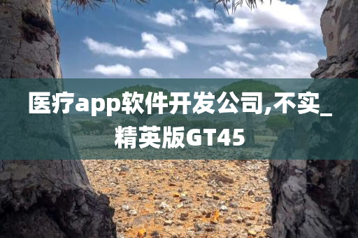 医疗app软件开发公司,不实_精英版GT45