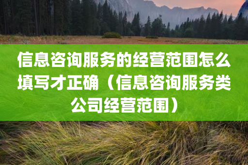 信息咨询服务的经营范围怎么填写才正确（信息咨询服务类公司经营范围）