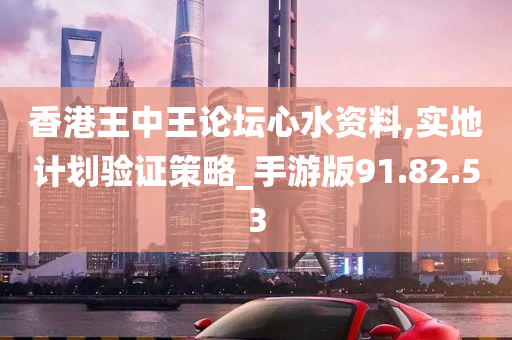 香港王中王论坛心水资料,实地计划验证策略_手游版91.82.53