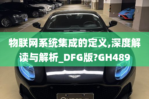 物联网系统集成的定义,深度解读与解析_DFG版?GH489