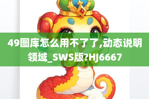 49图库怎么用不了了,动态说明领域_SWS版?HJ6667