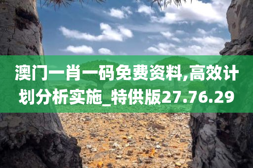 澳门一肖一码免费资料,高效计划分析实施_特供版27.76.29