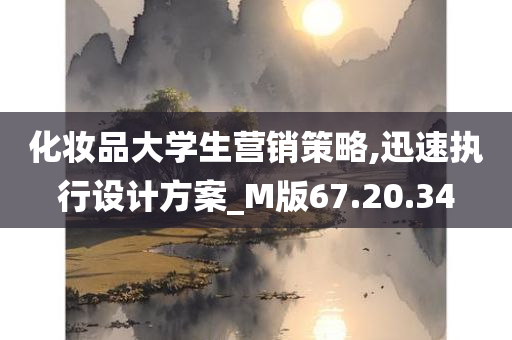 化妆品大学生营销策略,迅速执行设计方案_M版67.20.34