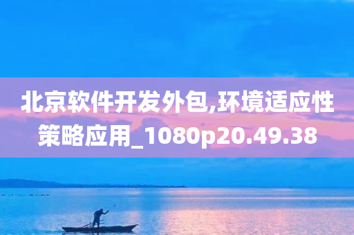 北京软件开发外包,环境适应性策略应用_1080p20.49.38