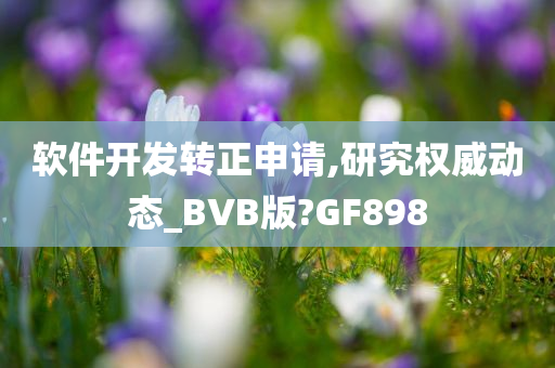 软件开发转正申请,研究权威动态_BVB版?GF898