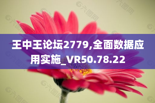 王中王论坛2779,全面数据应用实施_VR50.78.22